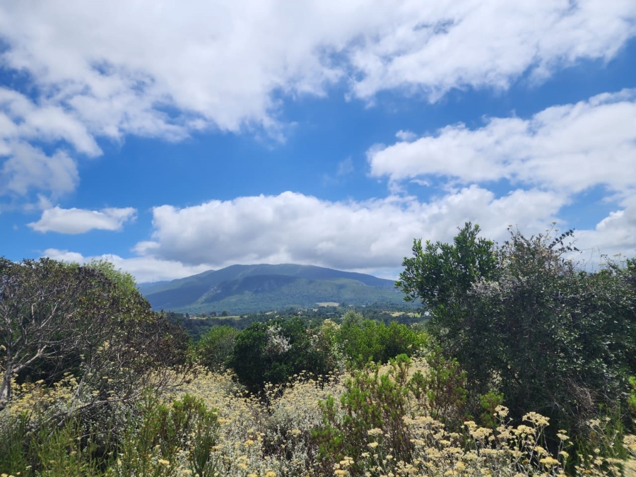 Commercial Property for Sale in Wilderness Heights Western Cape